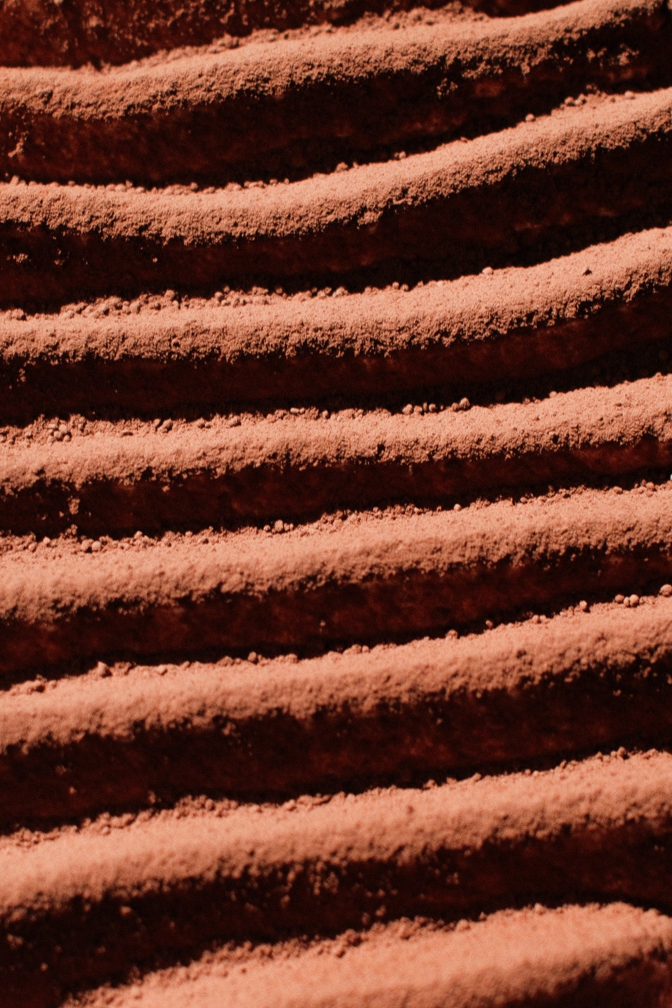 Torta Tiramisù
